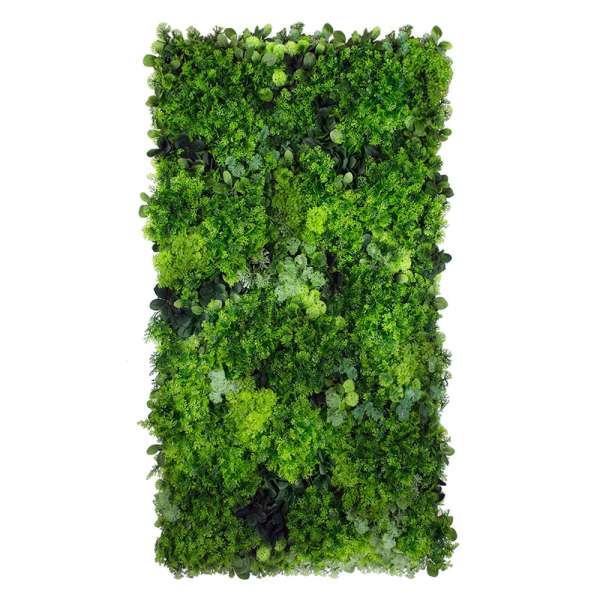 Grünes Innenpaneel - Vertikaler Garten Moss Mesh 50x100 cm