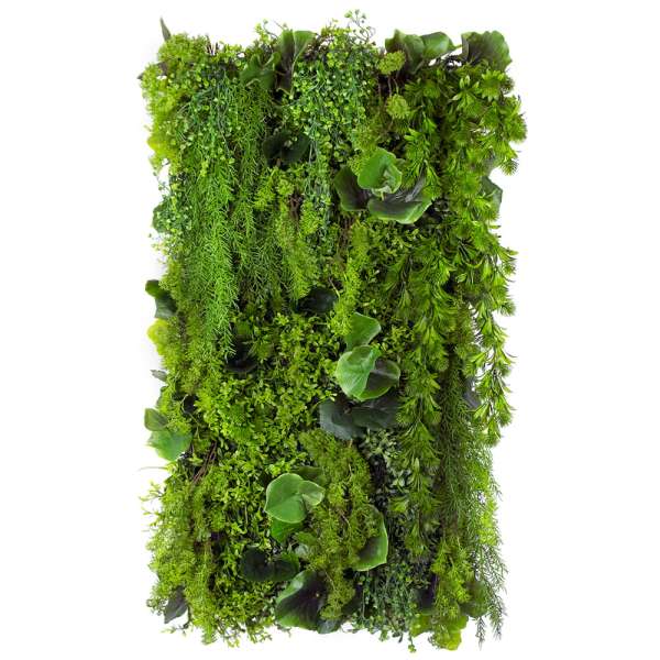 Pannello interno verde - Giardino verticale Nenuphar Pond 50x100 cm
