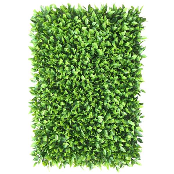 Interior mat - Green hedge wall Salzmiere 40x60cm