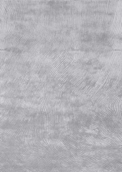 CANYON - Silver Teppich in Grau-Silber aus Viskose