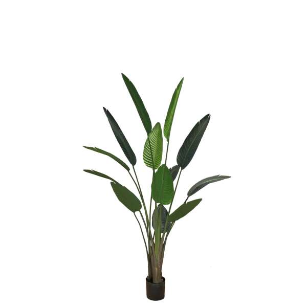 Plantes en pot - Plante artificielle Strelitzia 180 cm