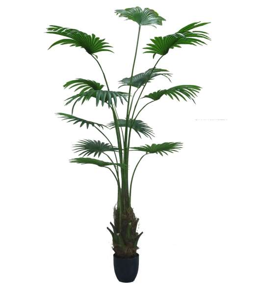 Kunstpflanzen - Künstliche Topfpalme Washingtonia Robusta 200 cm