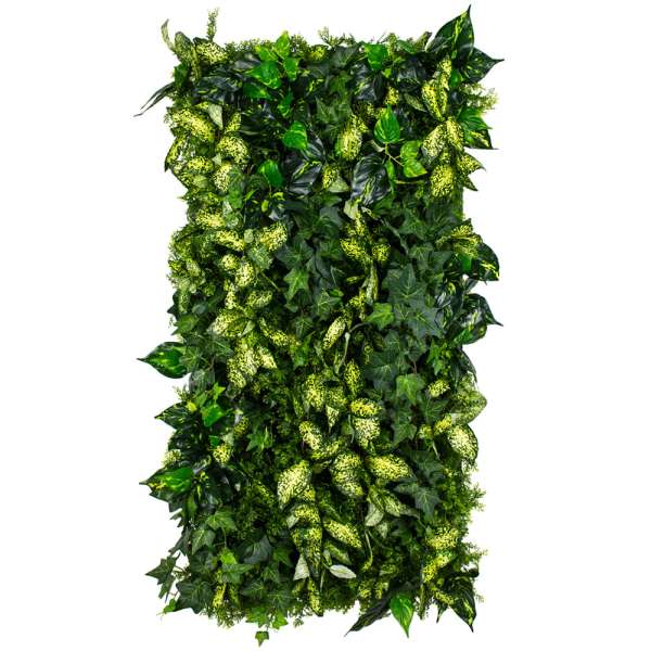 Grünes Innenpaneel - Vertikaler Garten Grown Ivy 50x100 cm