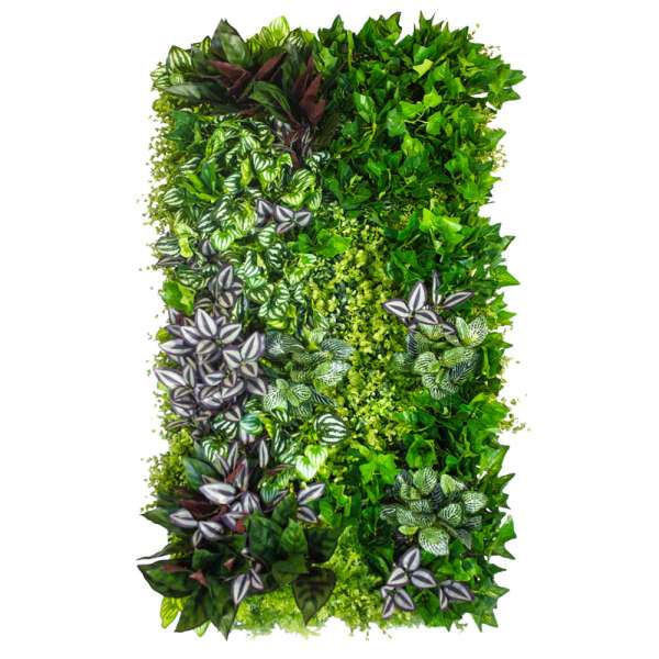 Grünes Innenpaneel - Vertikaler Garten Vineyard 50x100 cm