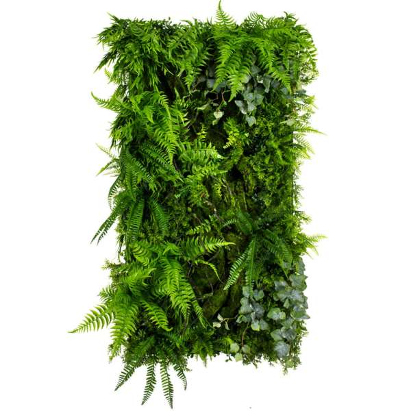 Grünes Innenpaneel - Vertikaler Garten Leafy Frond 50x100 cm