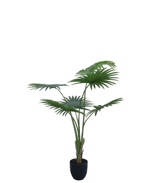 Kunstpflanzen - Künstliche Topfpalme Washingtonia Robusta 140 cm