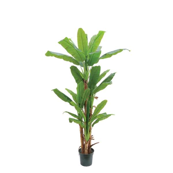 Kunstpflanzen - Künstlicher Bananenbaum 200 cm